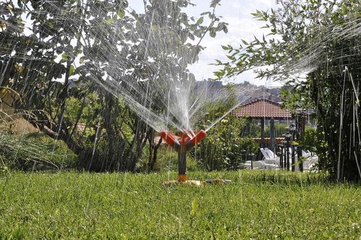 Watering the lawn dry summers with water spray 