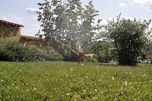 Watering the lawn dry summers with water spray 