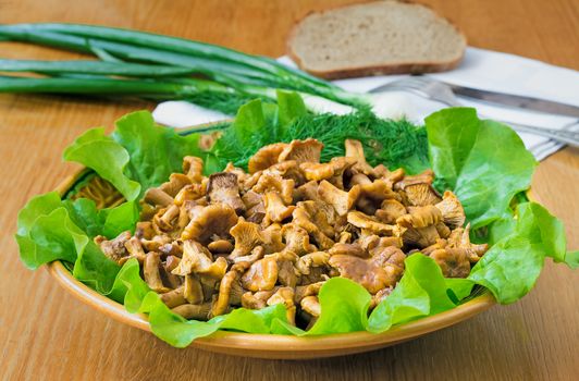 Dish with lettuce leaves on which appetizing fried chanterelles are located, are photographed by a close up