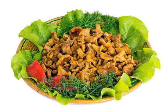 Dish with lettuce leaves on which appetizing fried chanterelles are located, are photographed by a close up