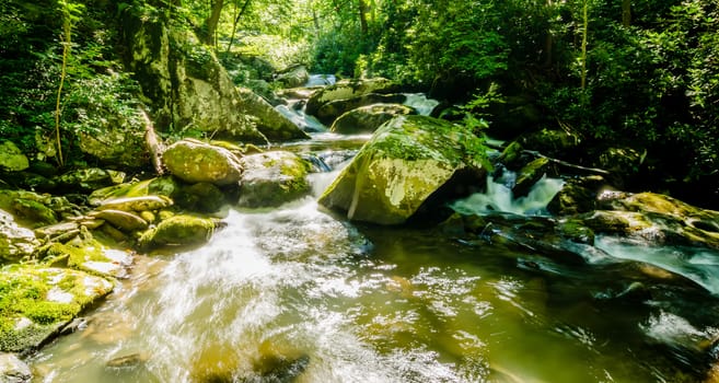 yellow creek falls great smoky mountains