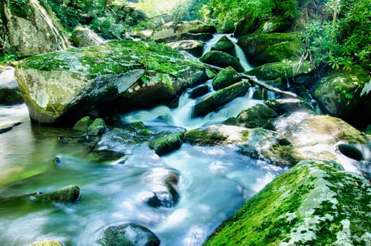 yellow creek falls great smoky mountains