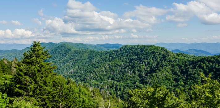 A wide view of the Great Smoky Mountains from the top of Clingman's Dome