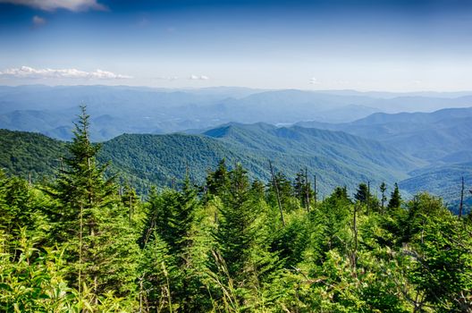 A wide view of the Great Smoky Mountains from the top of Clingman's Dome