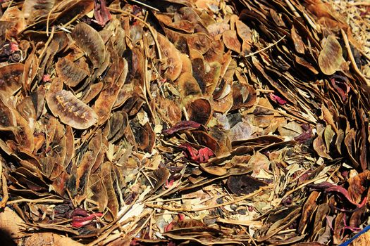 Spices and herbs on oriental market