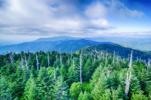 A wide view of the Great Smoky Mountains from the top of Clingman's Dome