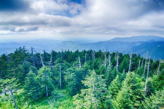 A wide view of the Great Smoky Mountains from the top of Clingman's Dome