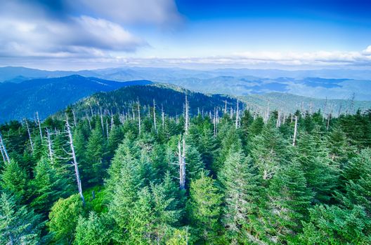 A wide view of the Great Smoky Mountains from the top of Clingman's Dome