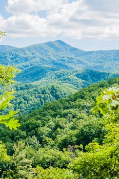 Great Smoky Mountains National Park near Gatlinburg, Tennessee.