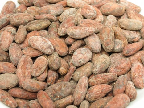 cocoa beans (theobroma cacao) from Madagascar