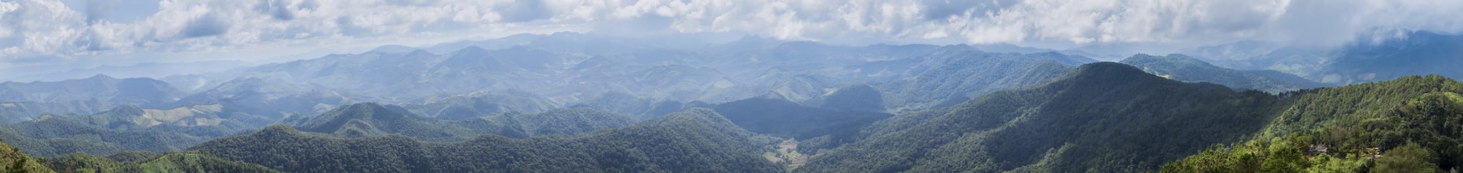 panorama mountain forest and sky.trees and forest cover high mountains.