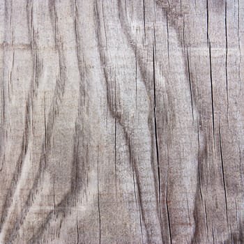 Old wood texture for background