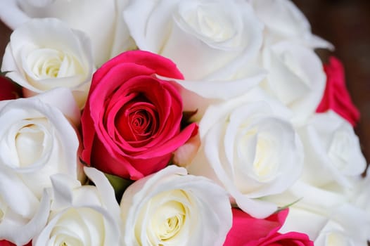 Brides bouquet of red and white roses closeup showing deatil on wedding day