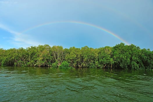Rainbow on the mangrove, Thailand.