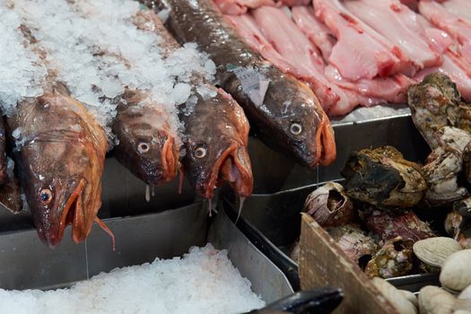 Fresh seafood for sale in the historic main fish market in the centre of Santiago, capital of Chile