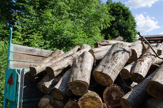 pile of cut logs in trailer, forest seasonal work summer time