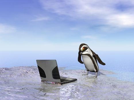 Penguin on iceberg wondering what the computer is useful for