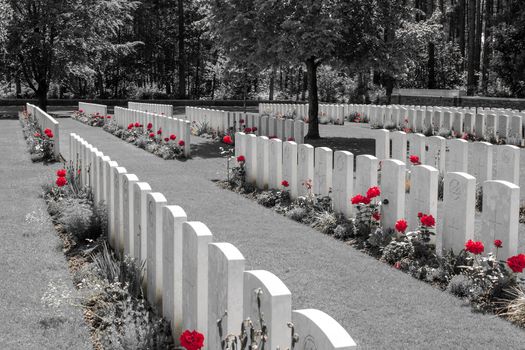  New British Cemetery world war 1 flanders fields