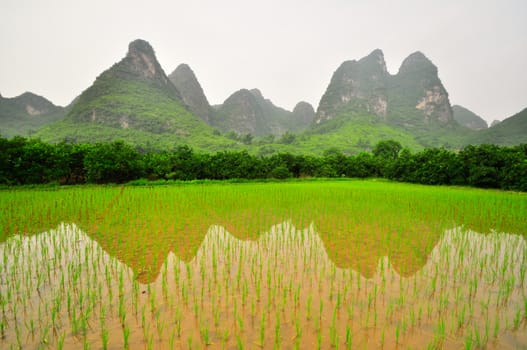 Beautiful Li river side Karst mountain landscape in Yangshuo Guilin, China