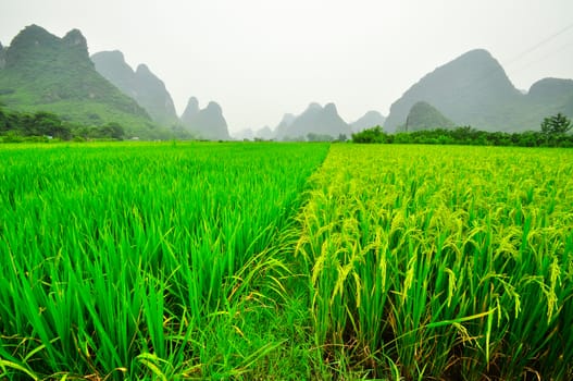 Beautiful Li river side Karst mountain landscape in Yangshuo Guilin, China