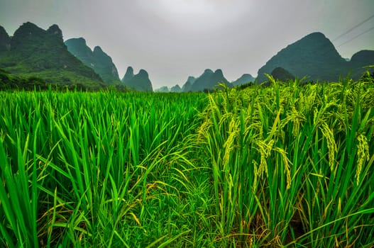 Beautiful Li river side Karst mountain landscape in Yangshuo Guilin, China