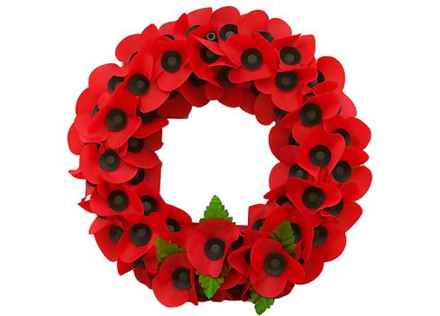 Poppy day great remembrance war world flanders 