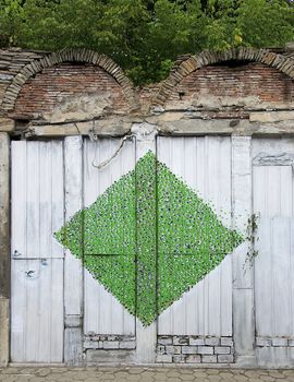 Young art that adorns the outside areas in Veliko Tarnovo 