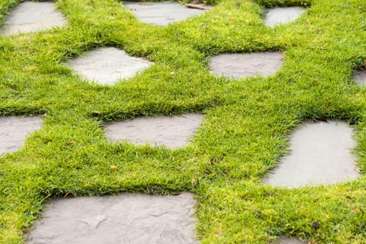 Stone path in the green grass park garden 