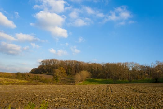 a beautiful autumn landscape in Flanders