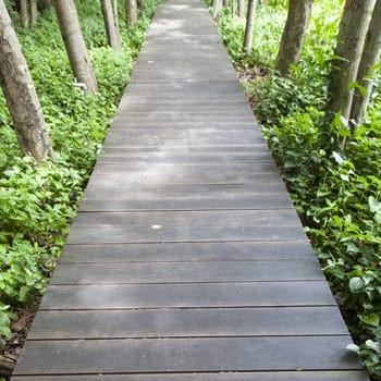 Wooden bridge in the park There are trees on both sides of the trees in the garden.