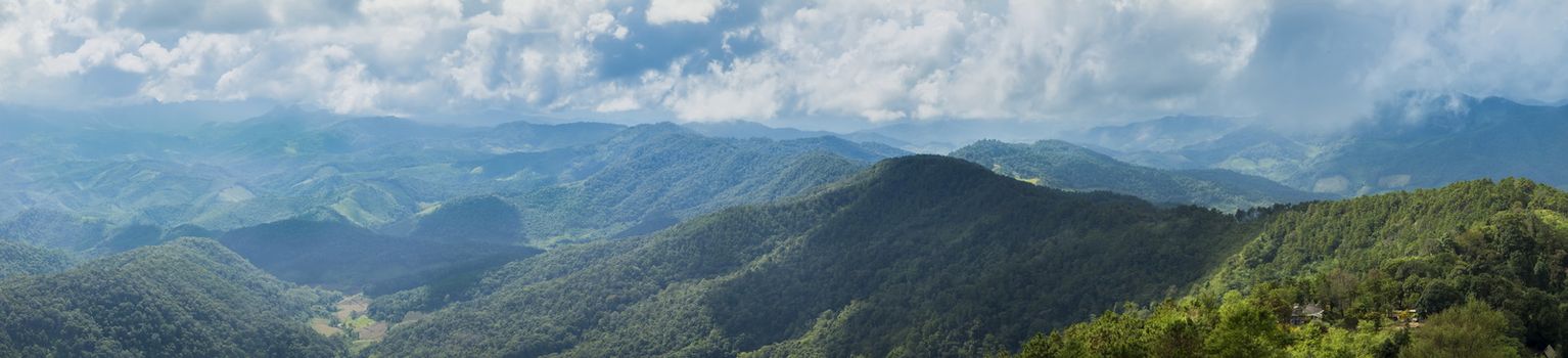 panorama mountain forest and sky.trees and forest cover high mountains.