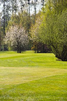 Beautiful spring landscape of golf course in Saint Saens, France