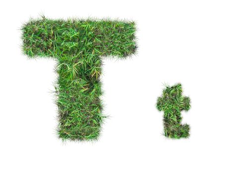 letter T on green grass isolated on over white background