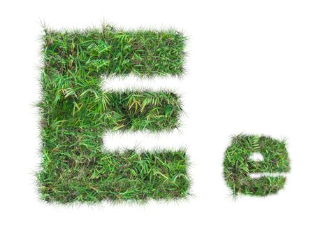 letter E on green grass isolated on over white background