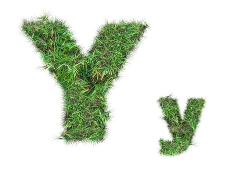 letter Y on green grass isolated on over white background