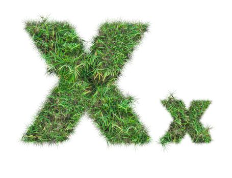 letter X on green grass isolated on over white background