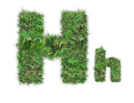 letter H on green grass isolated on over white background