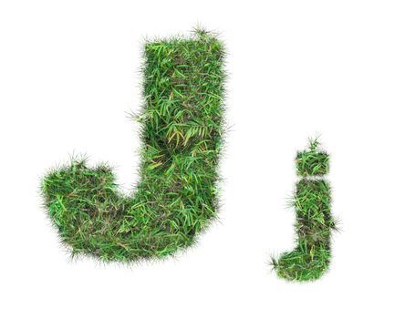 letter J on green grass isolated on over white background