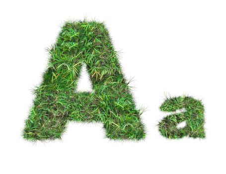 letter A on green grass isolated on over white background