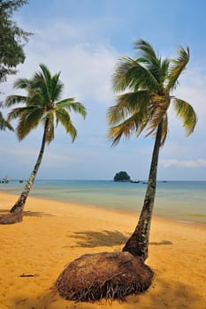 Tioman island, Malaysia