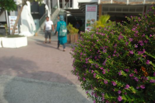 Bali, Indonesia - November 25, 2012: Discovery shopping mall building exterior at Kuta, Bali-Indonesia.