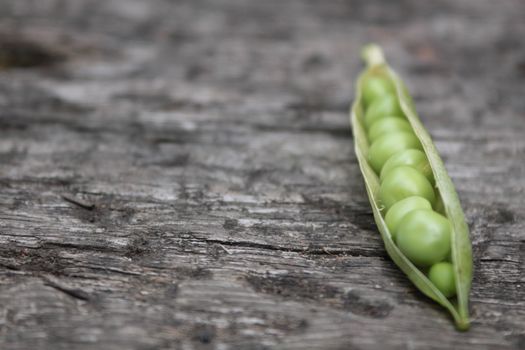 A close up view of a single pea pod with its peas exposed to view. Set on a landscape format on a wooden base.