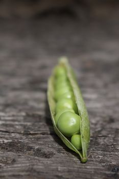 A close up view of a single pea pod with its peas exposed to view. Set on a portrait format on a wooden base.