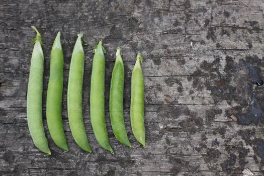 A crop of freshly picked organically grown peas set in a row on a wooden base. Set on a landscape format viewed from above.