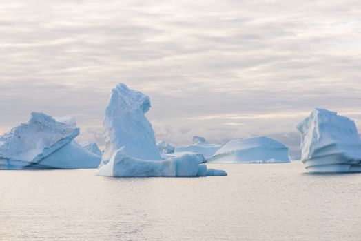 Beautiful icebergs in the sun and in front of a dark sky