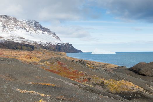 Arctic landscape on disko island in greenland with mountain and vegetation
