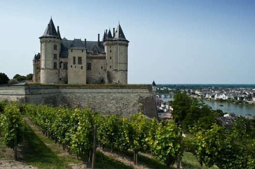 Saumur historic Castle and wine 