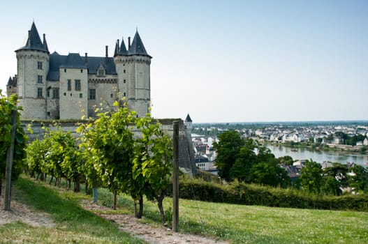 Saumur historic Castle and wine 