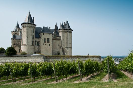 Saumur historic Castle and wine 