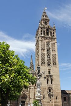 The Giralda, bell tower of Seville Cathedral, former minaret, Seville, Andalusia, Spain.